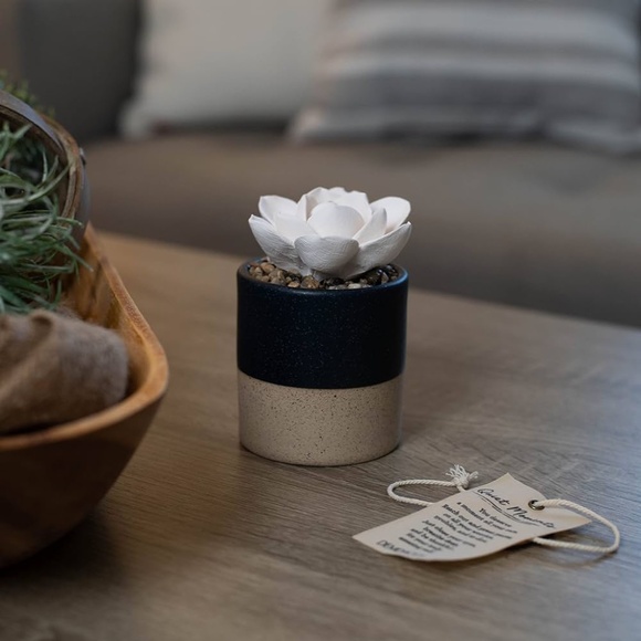 Demdaco Succulent 3 x 5 Stoneware Decorative Tabletop Oil Diffuser - Picture 5 of 11